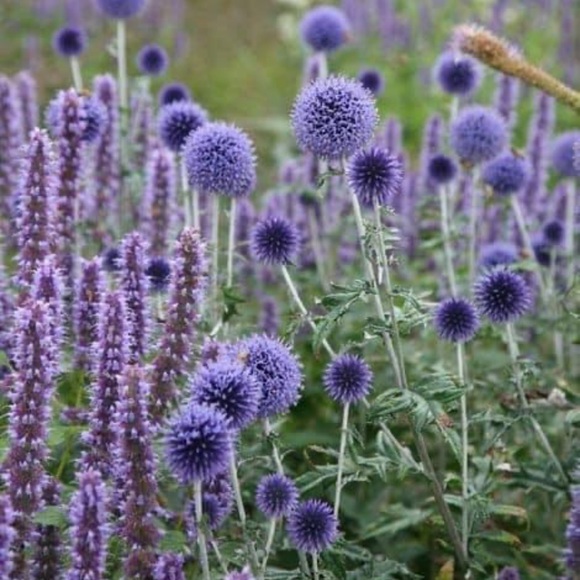 Welcome Thx for stopping by - Picture 7 of 12